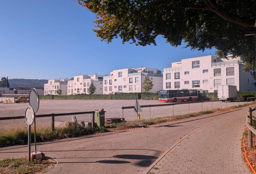 Parkplatz oder Parkverbot? Die Wiler Allmend sorgt bei Autofahrern für Verwirrung.