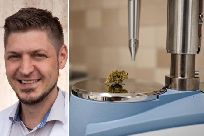 Knackpunkt der Cannabis-Therapie sind die hohen Kosten