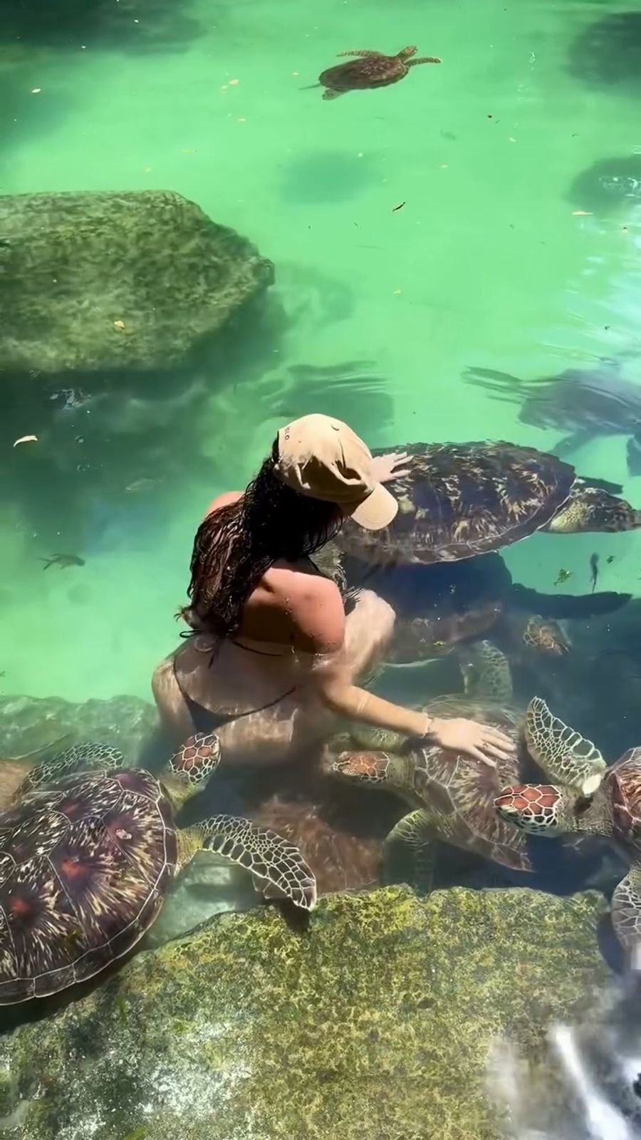Eines der Tiere biss der Influencerin in den Hintern.