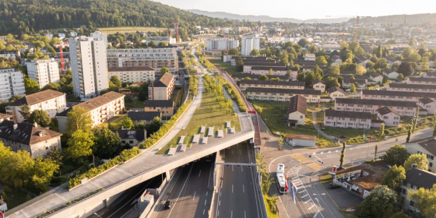 Der Ueberlandpark in Zürich-Schwamendingen erhält den Binding-Preis für Biodiversität 2026.