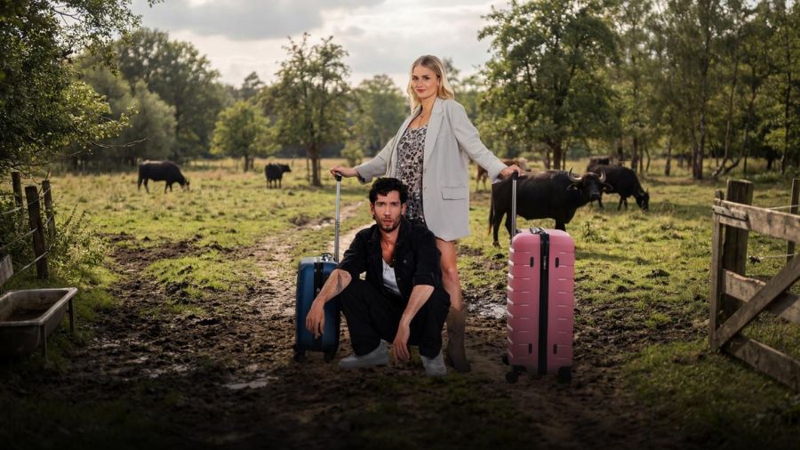 Sommerhaus der Stars 2026