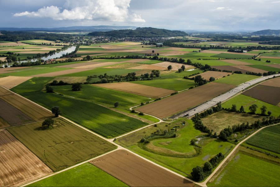 Land