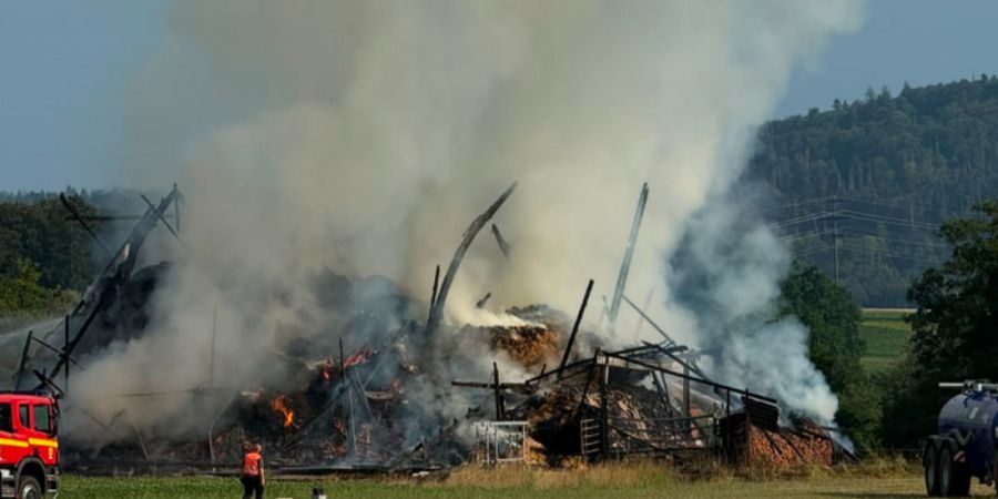 Vier Menschen wurden beim Scheunenbrand in Hemishofen SH verletzt; das Vieh konnte gerettet werden.