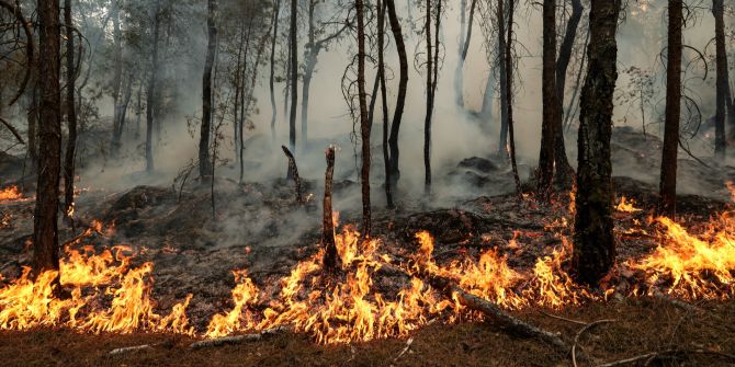 Waldbrand Frankreich