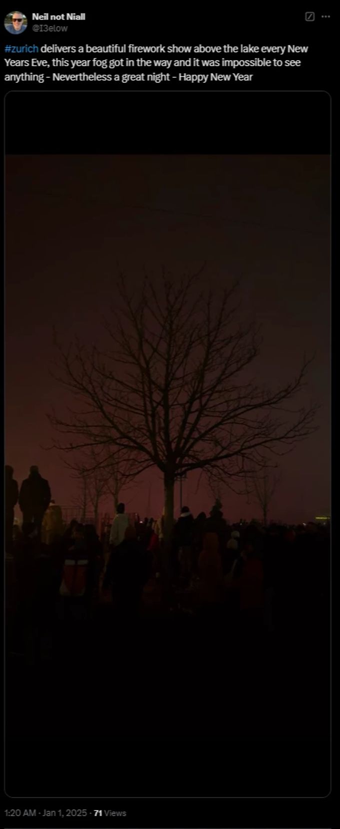 Irgendwo da hinten findet das Zürcher Neujahrs-Feuerwerk statt. neujahr