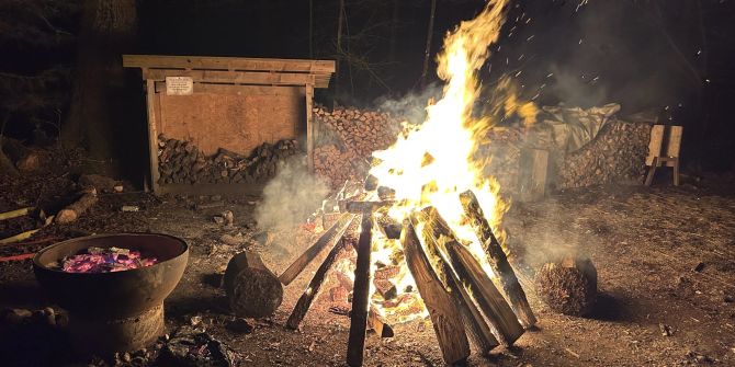 Blockbrand in Goldau.