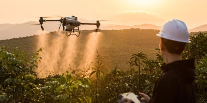 Drohnen sind in der Landwirtschaft immer häufiger anzutreffen – auch in der Schweiz. Schweizer Bauer steuert Drohne