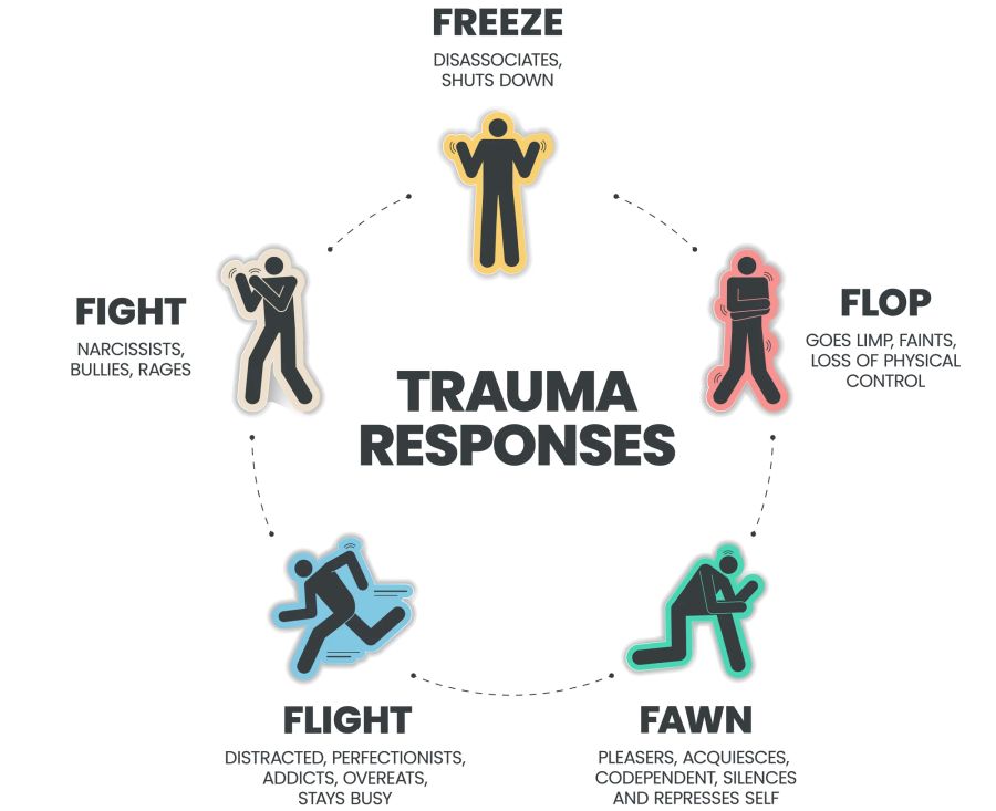 Fight Flight Freeze response