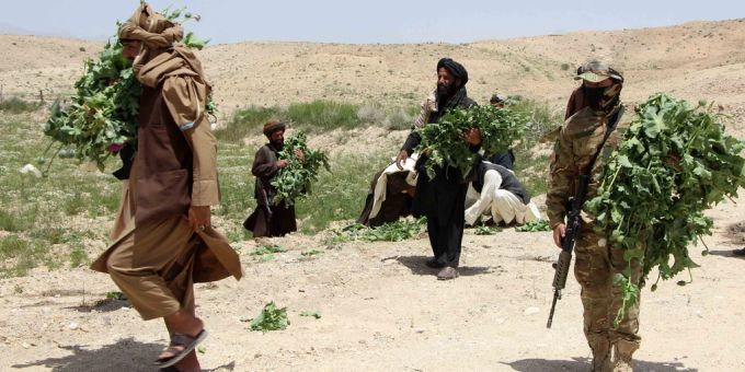 In Afghanistan wurde Opium zuletzt massiv teurer. Opium