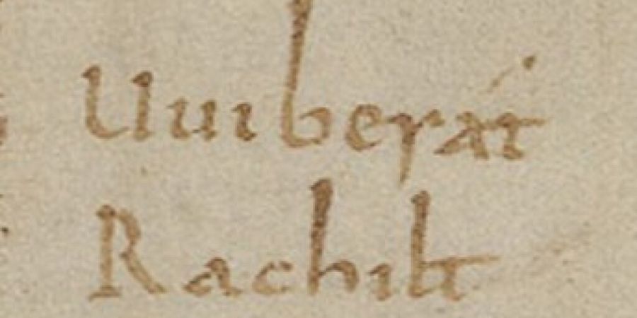 Vor mehr als 1100 Jahren schrieb Wiborada ihren Namen in das Gedenkbuch des Klosters Reichenau D. Nun wurde ihre Unterschrift unter 38'000 Einträgen gefunden.