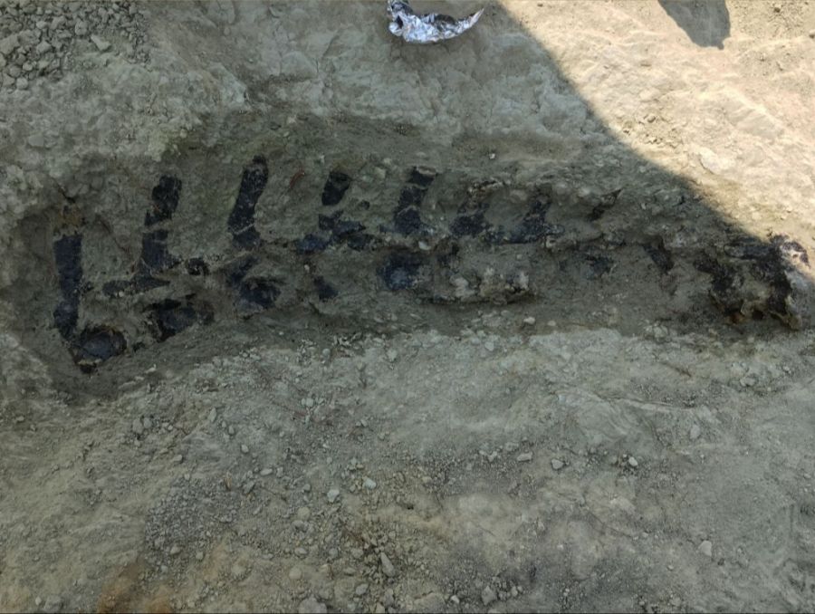 Viele der historischen Dinosaurier-Skelette in grossen amerikanischen Museen seien an dieser Stelle gefunden worden.