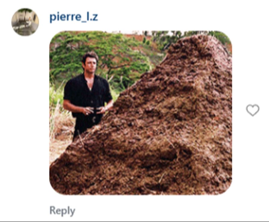 «Das ist ja ein Riesen-Haufen Scheisse», sagt Jeff Goldblum in dieser legendären Jurassic-Park-Szene.