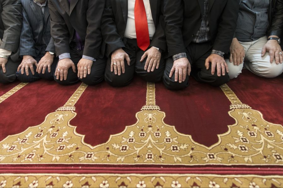 Das Projekt wurde in der Folge beerdigt. Man wolle die Bevölkerung nicht spalten und nicht beleidigt werden.