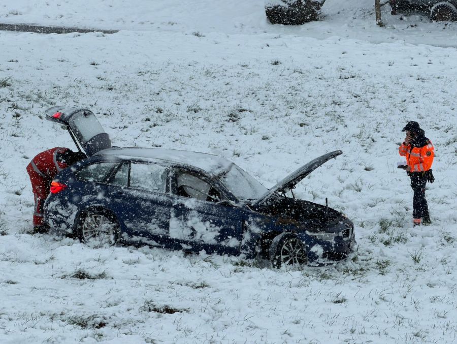 Der Fahrer wurde leicht verletzt und zur Kontrolle ins Spital gebracht.
