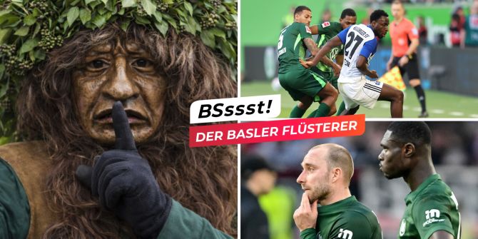 flüsterer basel