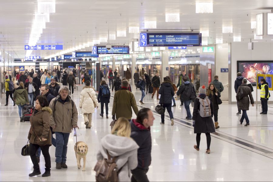 Ein Verein fordert, dass ÖV-Unternehmen keine Anzeigen mehr für Schwarzfahrer erstatten.