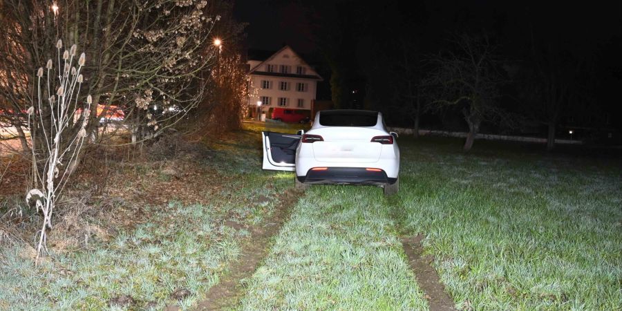 Emmenbrücke Strolchenfahrt