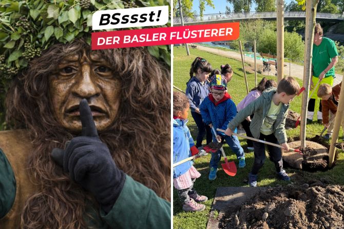 basler flüsterer
