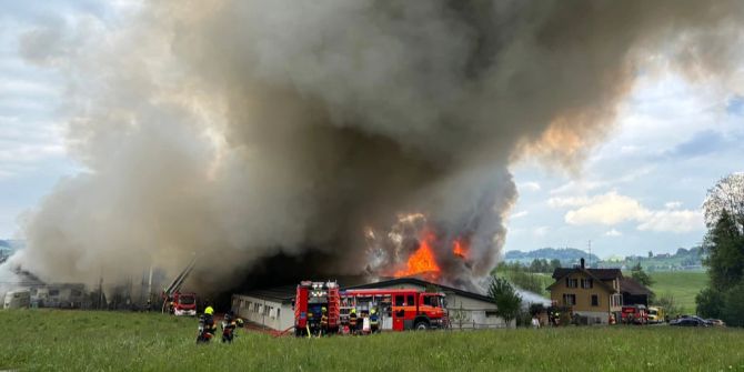 gossau betrieb grossbrand peta