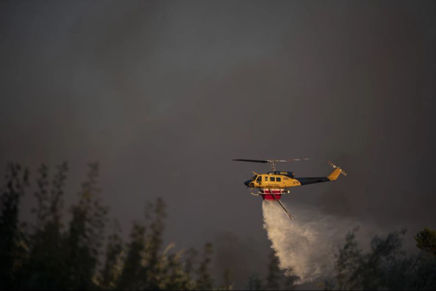 Die Feuerwehr kämpft gegen die Flammen.