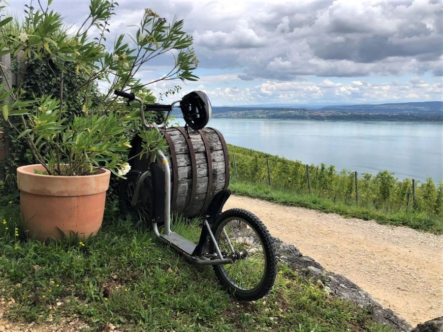 Symbolbild Swiss Wine