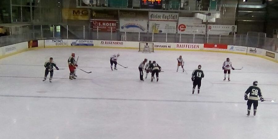 Capital Grizzlys Eishockey