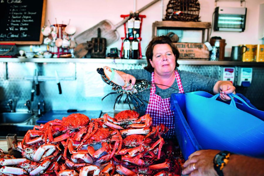 Jersey Kanalinseln Fischmarkt