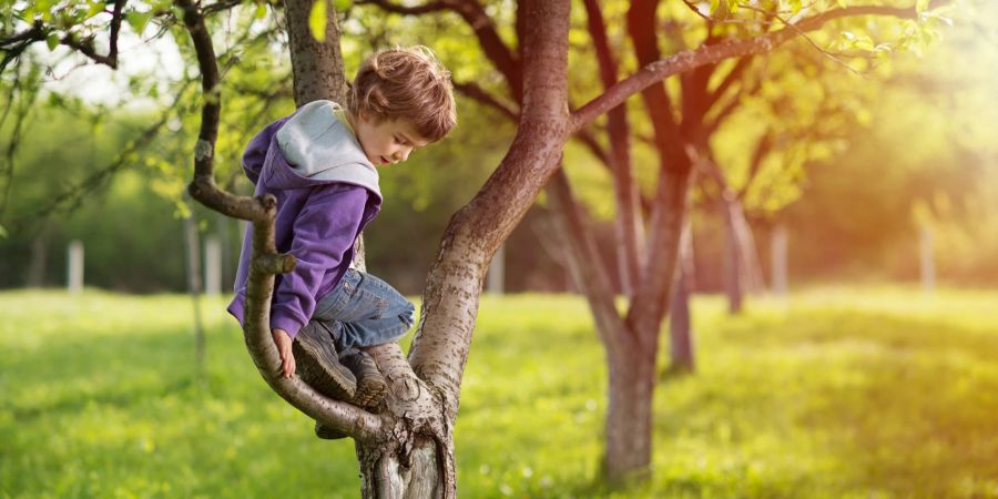 Junge klettert auf Baum