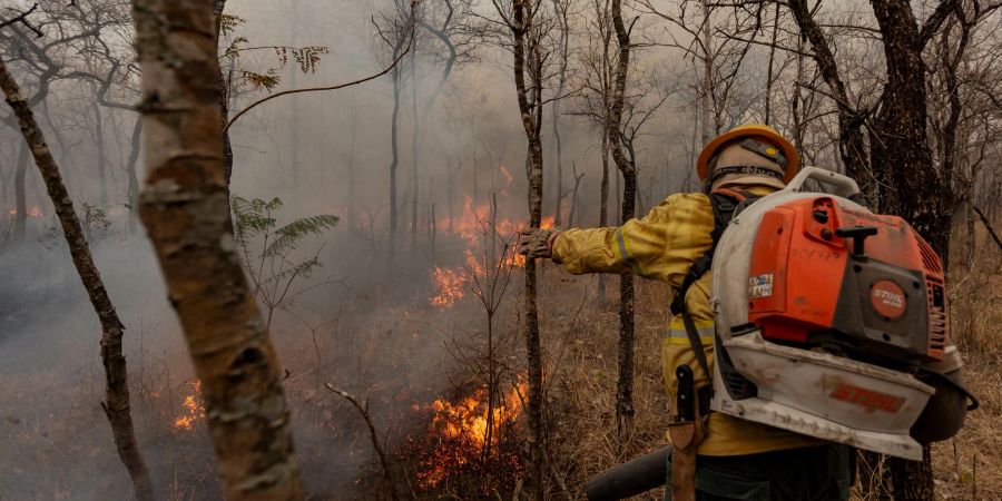 Flammen fressen sich durch die trockene Landschaft.