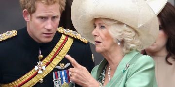 camilla und prinz harry