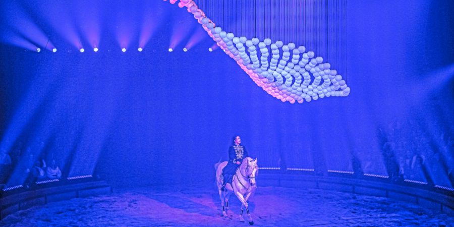 Circus Knie
