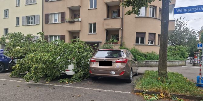 Wind Wetter