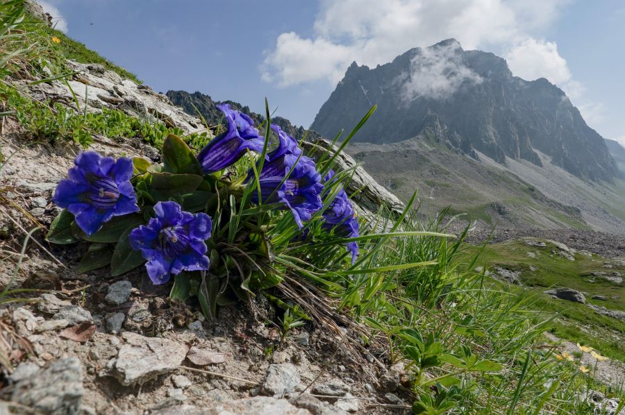 Grevaselavas Wanderung Oberengadin