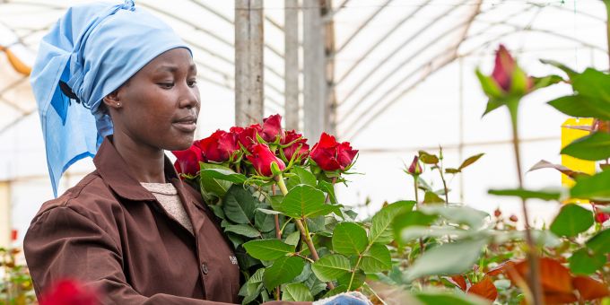 Eine Frau in Kenia riecht an einem Strauss Rosen. Frau Arbeiterin Rosen Plantation