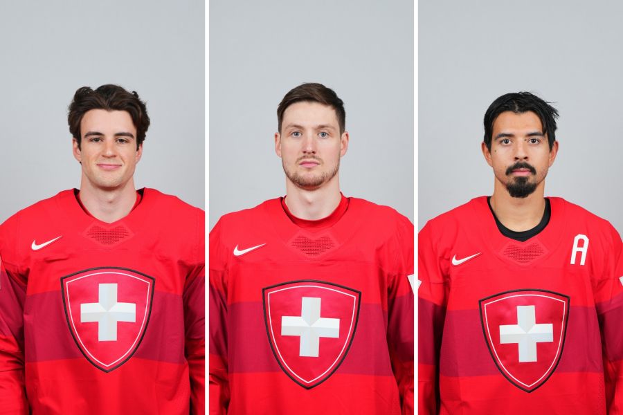 Schweizer Nati Slapshot