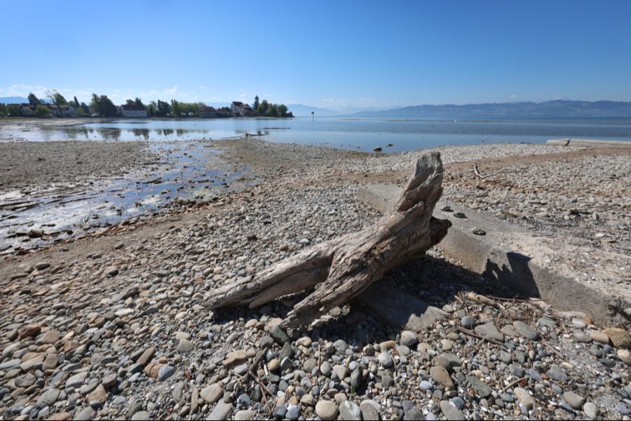 Bodensee Bauern