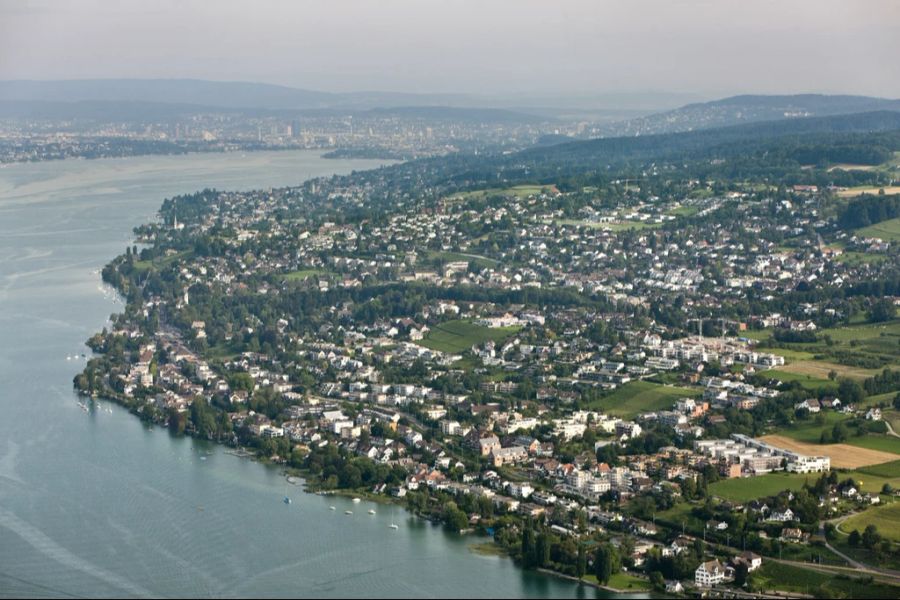 Bei der Gemeinde Herrliberg ZH gingen immer mehr Beschwerden wegen Hundehaufen ein.