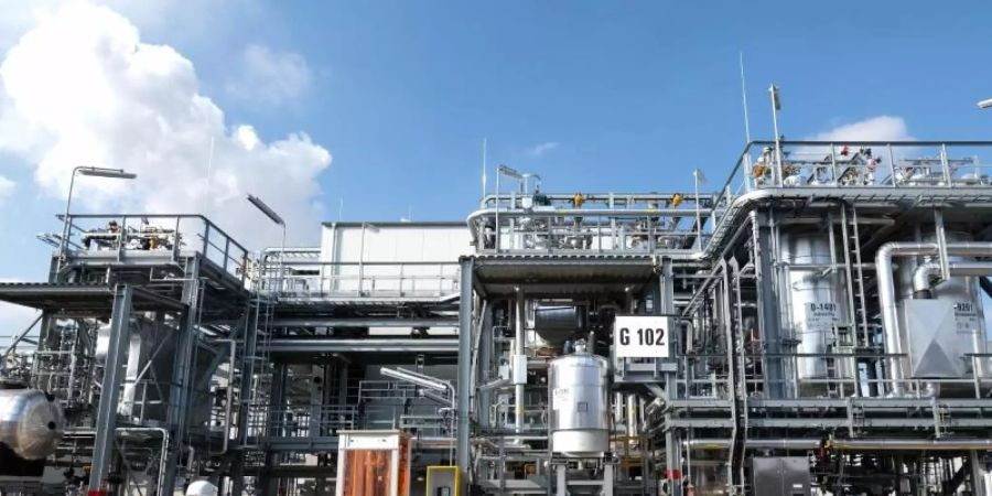 Eine Pilotanlage der Trinseo GmbH zur Herstellung von synthetischem Kautschuk. Trotz einer Erholung im Sommer erwartet die deutsche Chemie- und Pharmaindustrie einen Umsatzeinbruch in diesem Jahr. Foto: Sebastian Willnow/dpa-Zentralbild/dpa