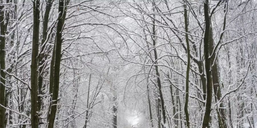 Winter in Taunus. Tiefdruckgebiet «Ahmet» macht's möglich. Foto: Frank Rumpenhorst/dpa