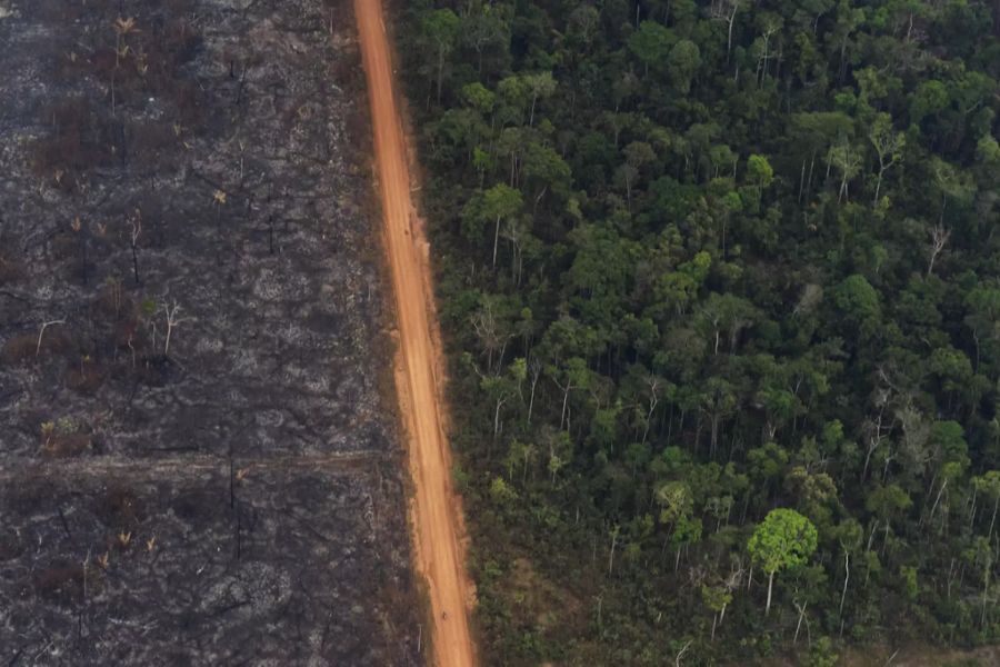 Ein üppiger Wald liegt neben einem Feld mit verkohlten Bäumen in Vila Nova Samuel, Brasilien.