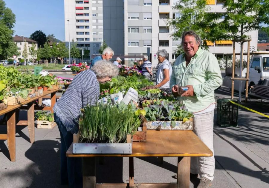Wettinger Wochenmarkt auf dem Rathausplatz