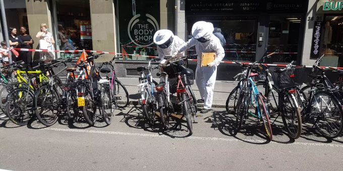Mitten in Bern - Feuerwehr beseitigt Nest mit bis zu 50'000 Bienen