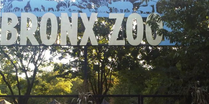 Der Bronx Zoo. Darinb leben auch Elefanten. (Archivbild) Zoo