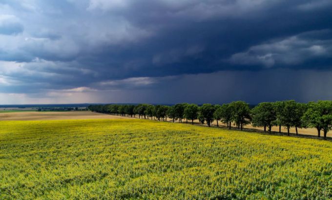 Die sommerlichen Temperaturen bergen auch die Gefahr von Gewitter-Zellen. gewitter
