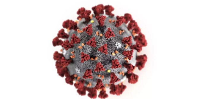 Coronavirus