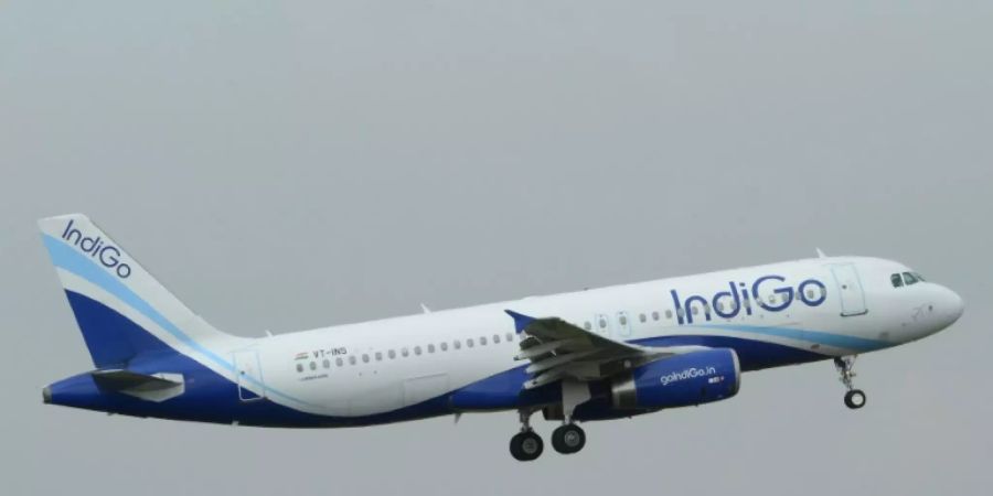 Treuer Airbus-Kunde: Die Fluggesellschaft IndiGo