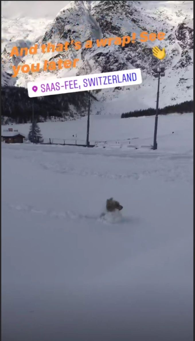 Ein Hund freut sich ab den massiven Schneemengen. Schnee Saas-Fee Wetter