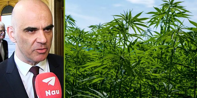 Nationalrat dafür - Bundesrat Berset jubelt über Ja zu Cannabis-Artikel