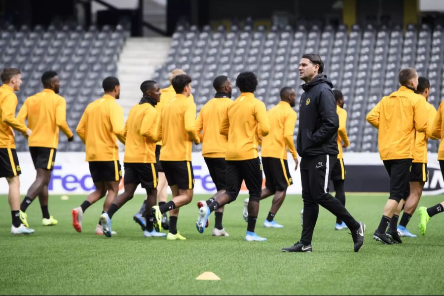YB Training