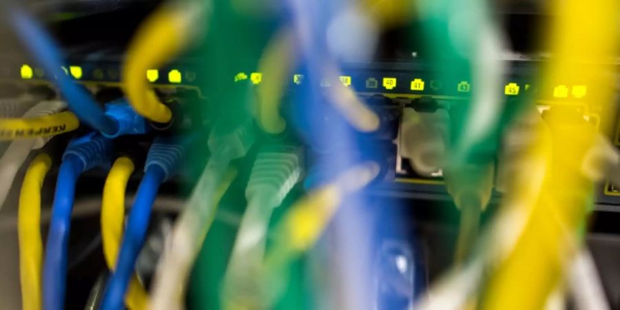 Netzwerkkabel in einem Serverraum